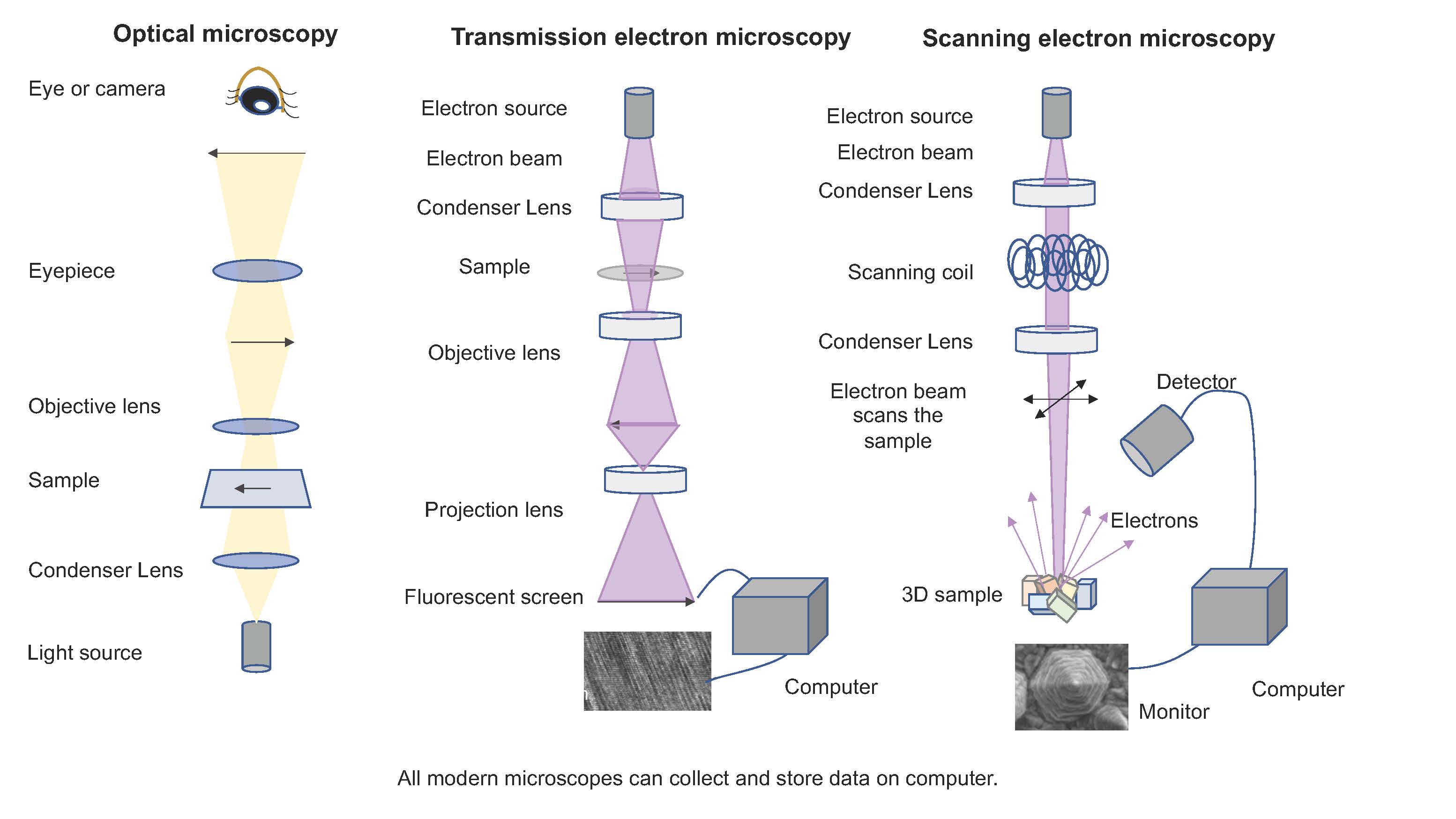 comparison of optical and electron microscopies
