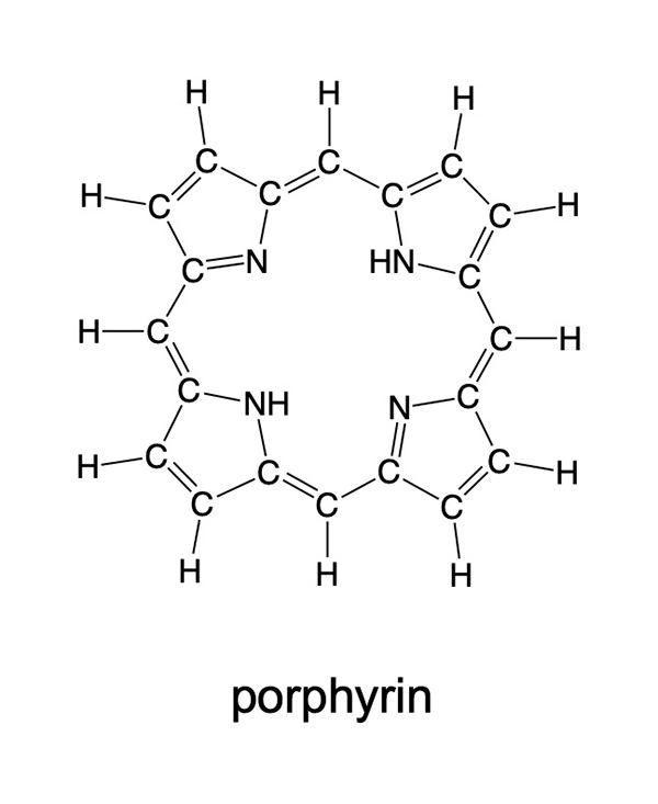 The structure of porphyrin.